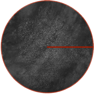 10 Mpc annotated galaxies