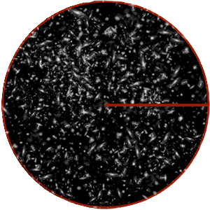 4 Mpc annotated galaxies