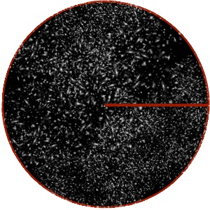5 Mpc annotated galaxies